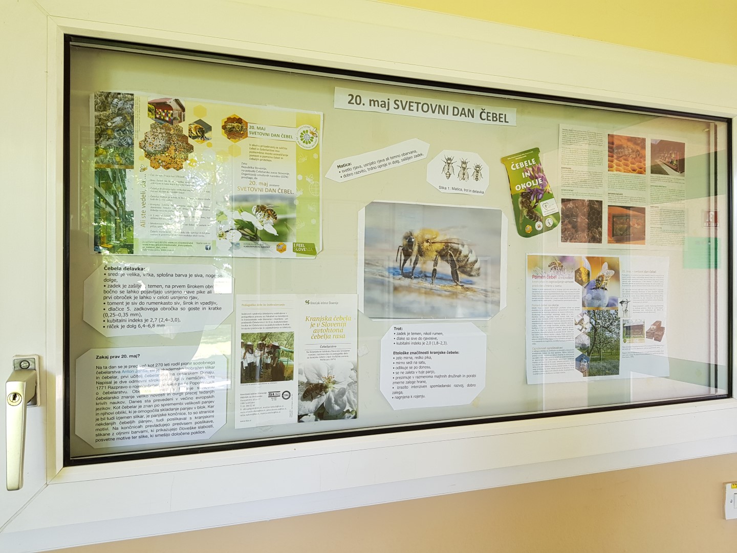 20180521 093714 Large