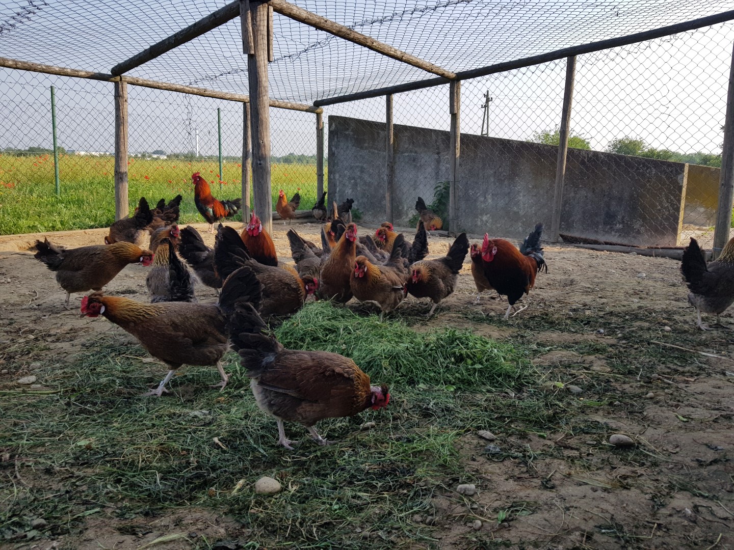 20180601 073948 Large