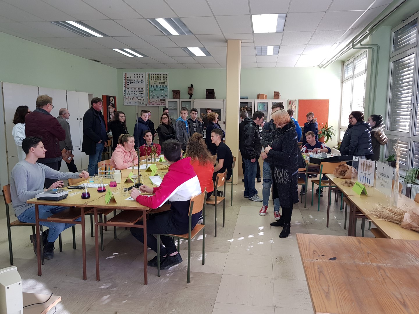 20190215 095024 Large