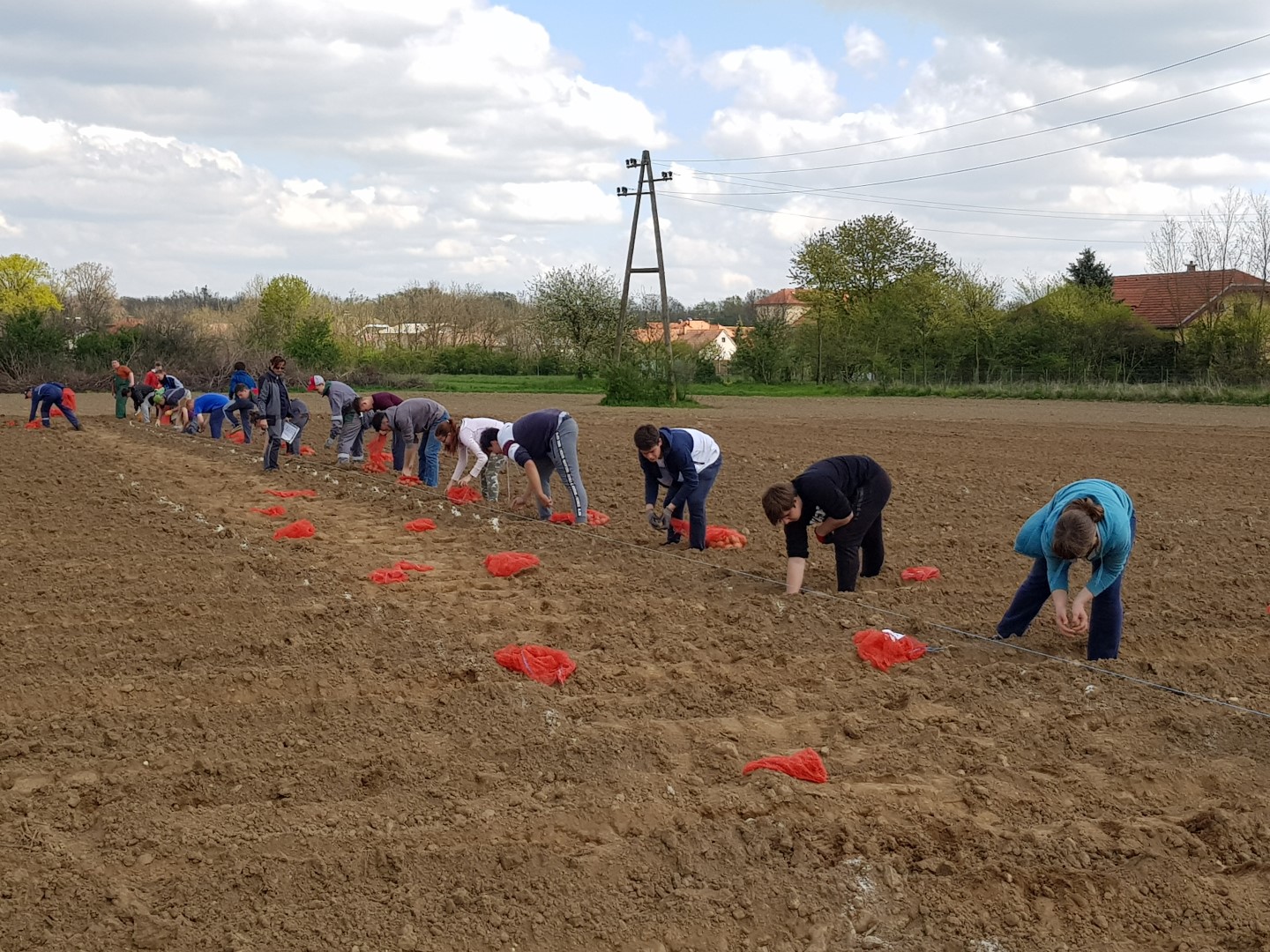 20190418 120438 Large