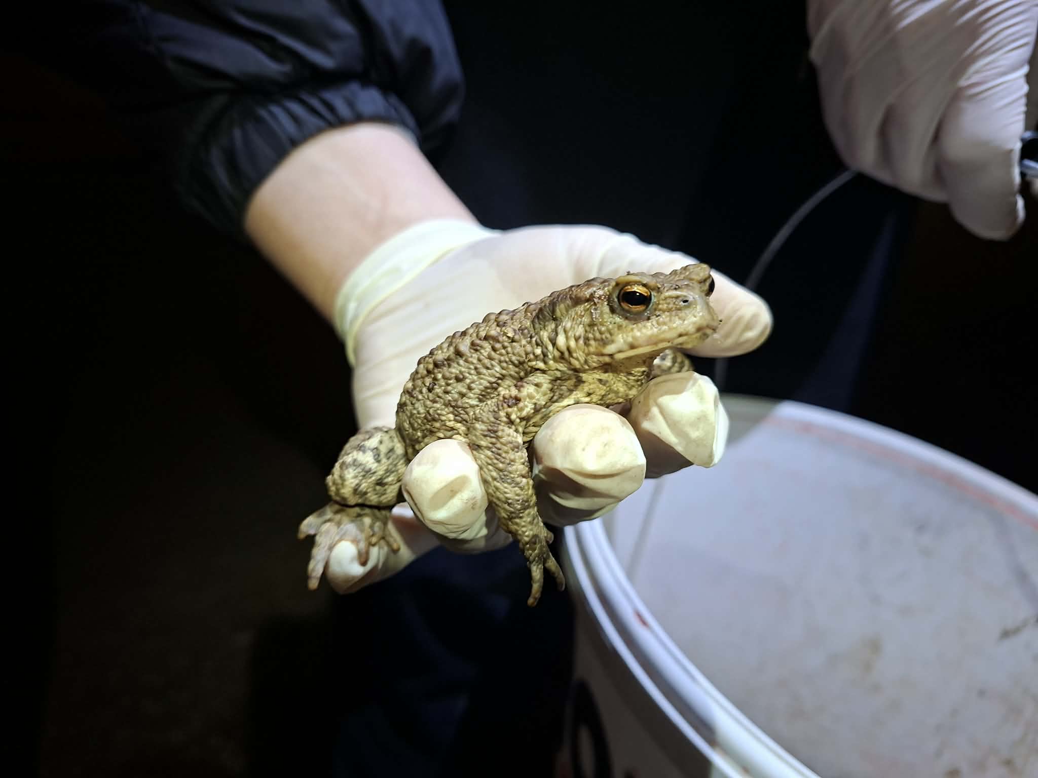 651559770 1440220694564958 6076982221098508984 n