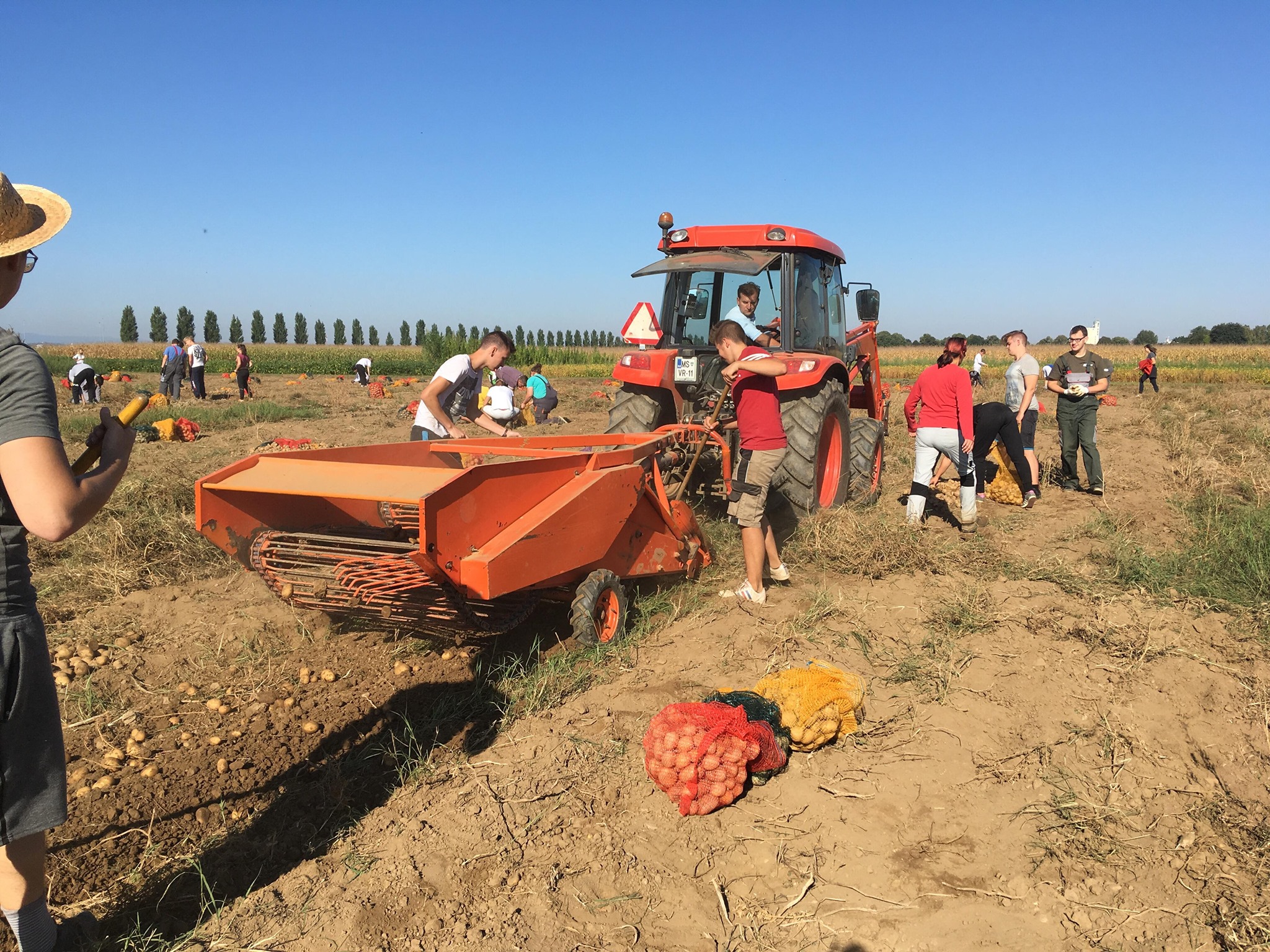 70255320 2434803629875781 8941618364011249664 o