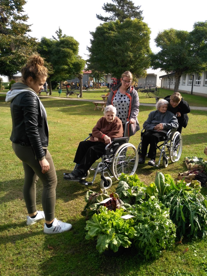 IMG 20181003 105932 Large