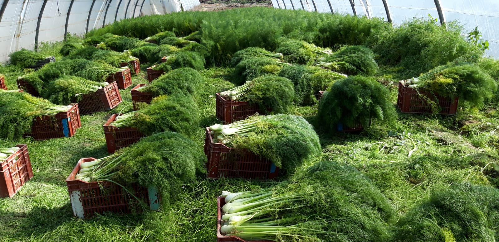 PHOTO 2019 04 01 11 41 23