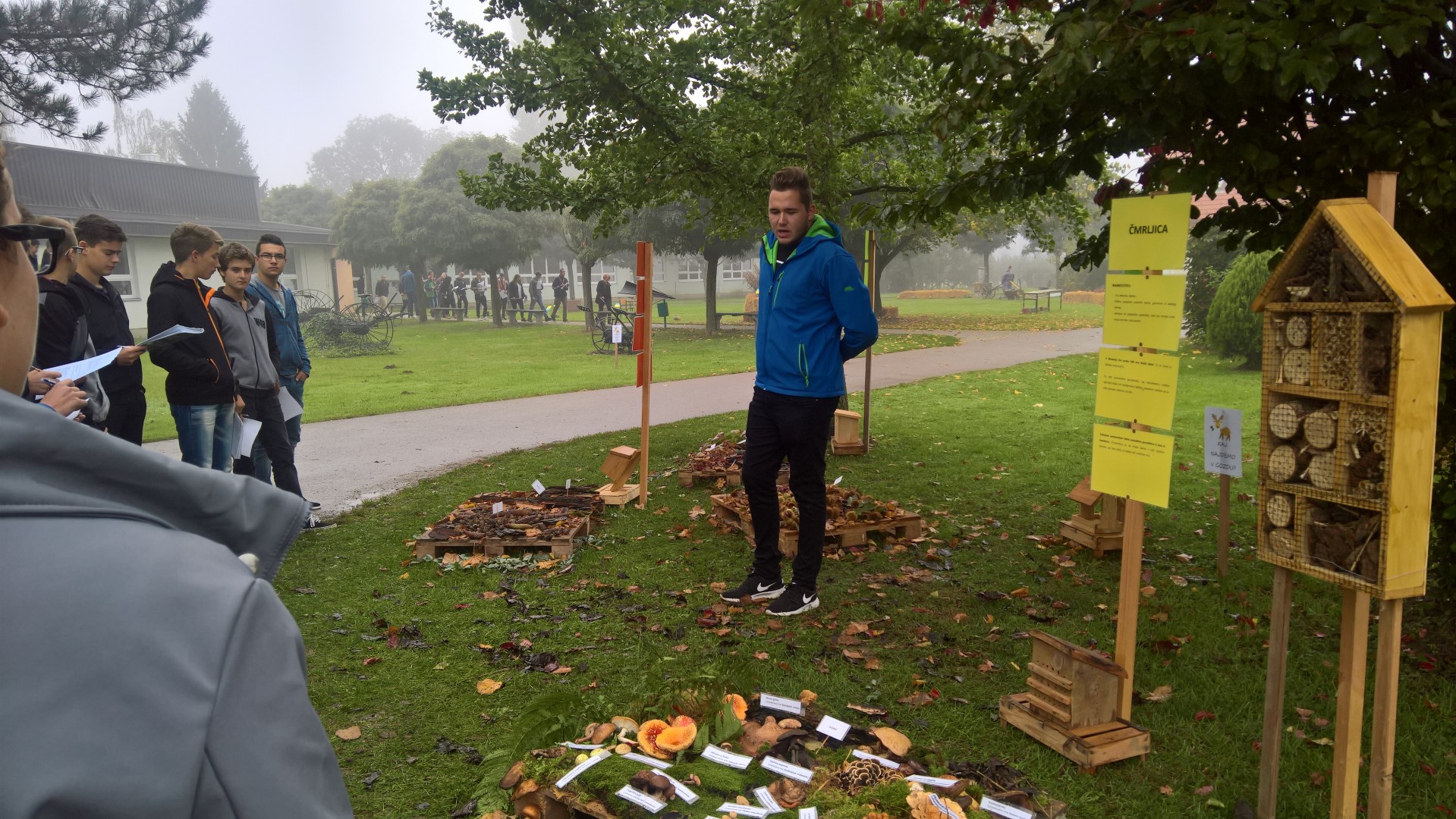 WP 20171004 09 53 46 Pro Large