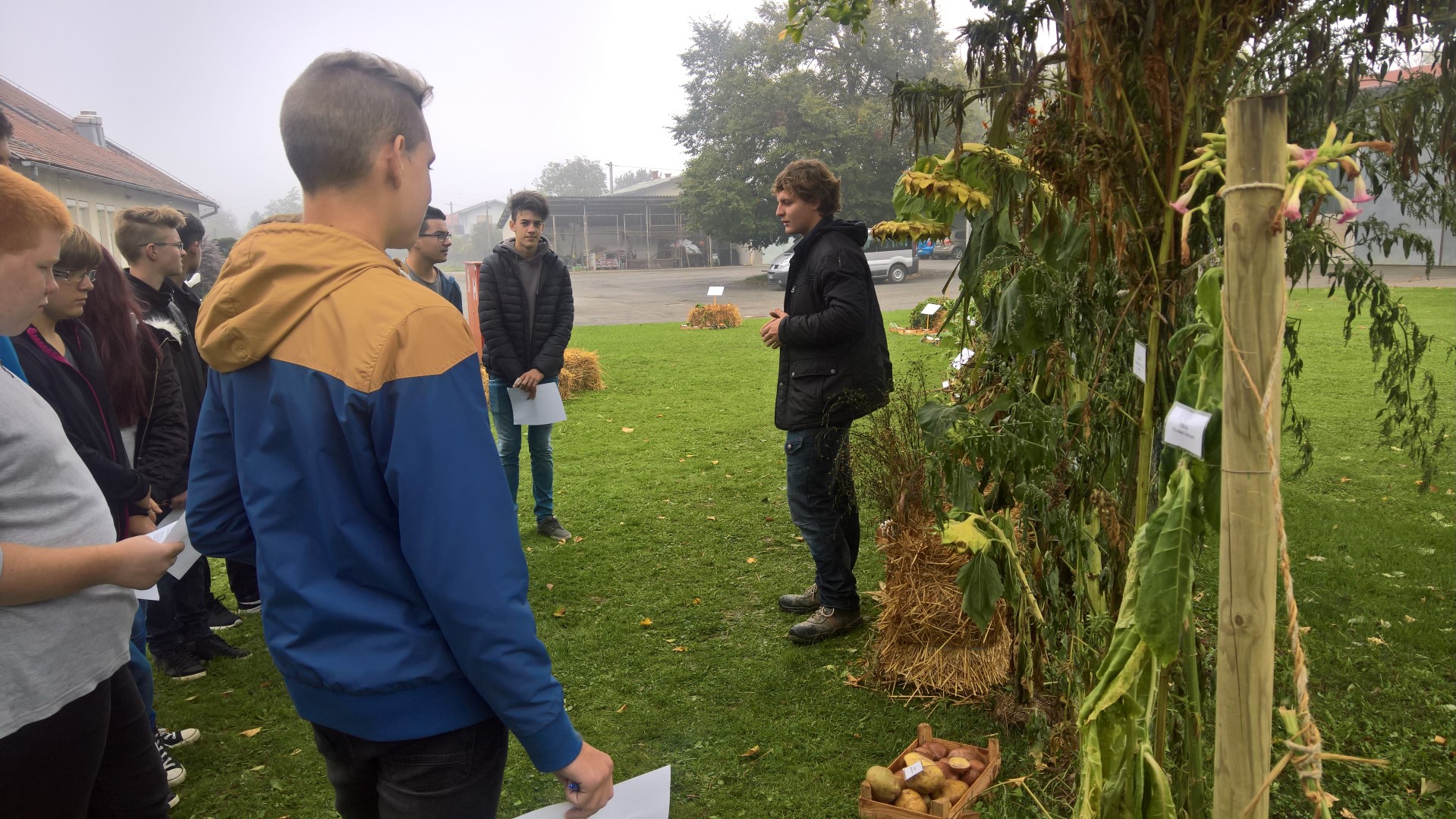 WP 20171004 10 04 14 Pro Large