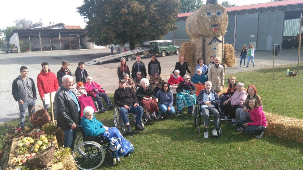 mms img13072180320001 Large