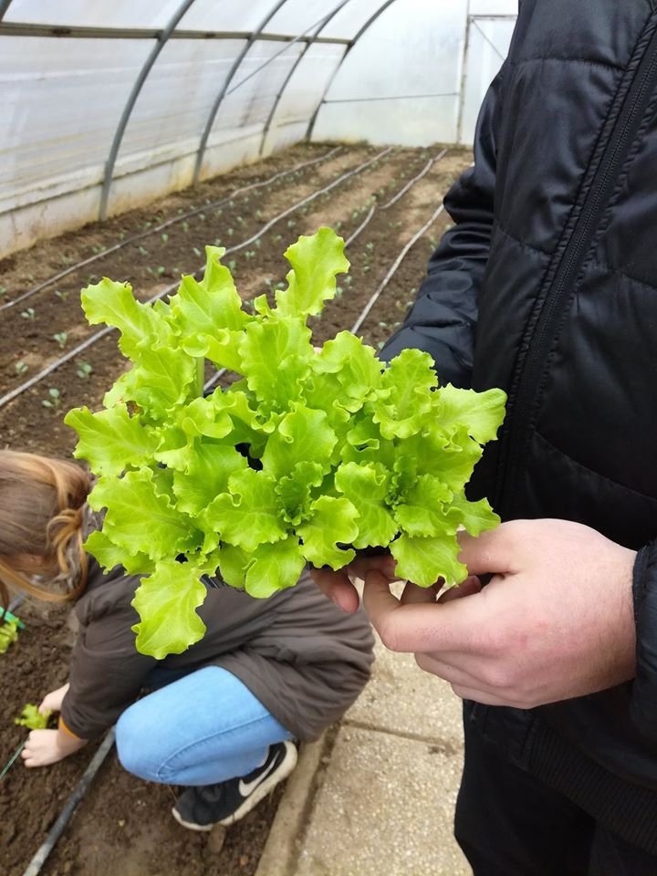 88321522 2828385027184304 8282619326805049344 o