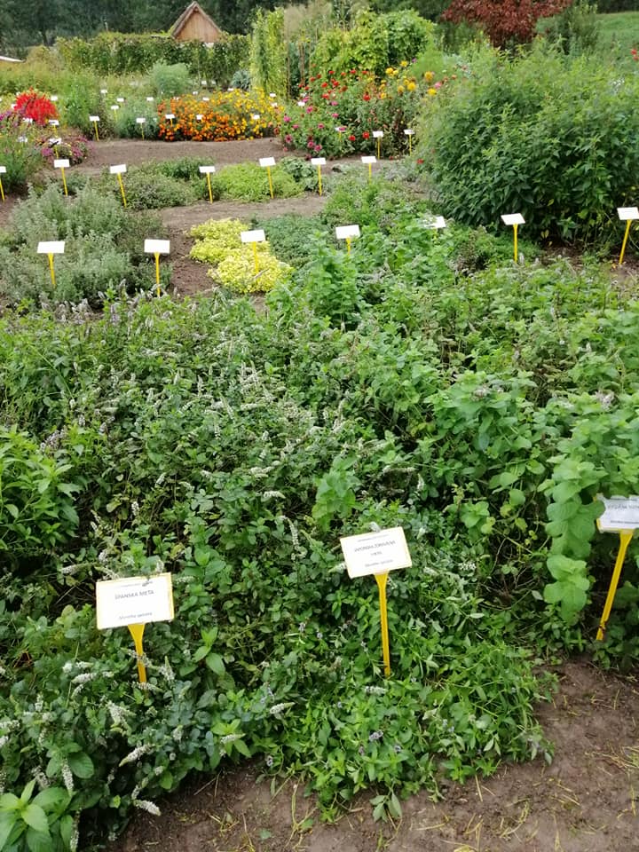 120253206 3376628479026620 3968897896863580658 n